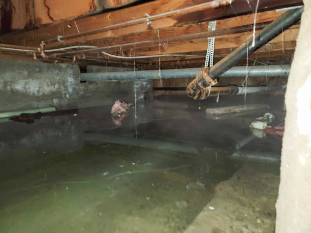 Best Water damage cleanup near me  in Oak Hills, PA