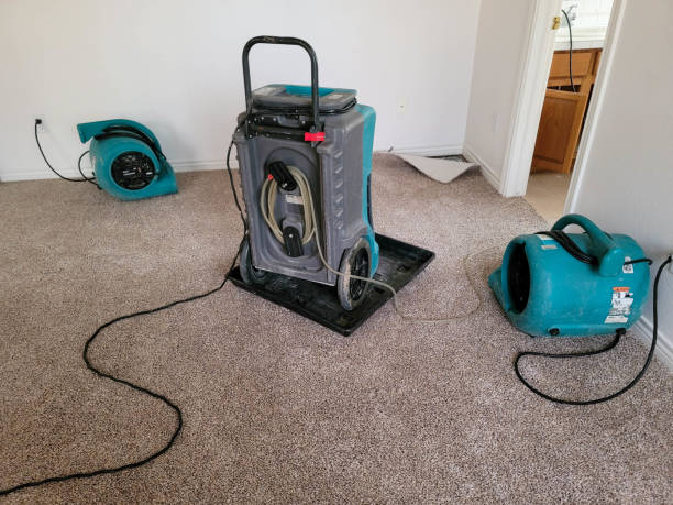 Best Carpet water damage restoration  in Oak Hills, PA