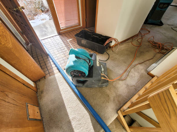 Best Water damage cleanup near me  in Oak Hills, PA