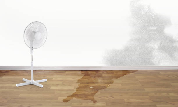 Best Residential water damage restoration  in Oak Hills, PA