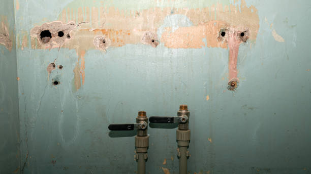 Best Flood damage cleanup  in Oak Hills, PA